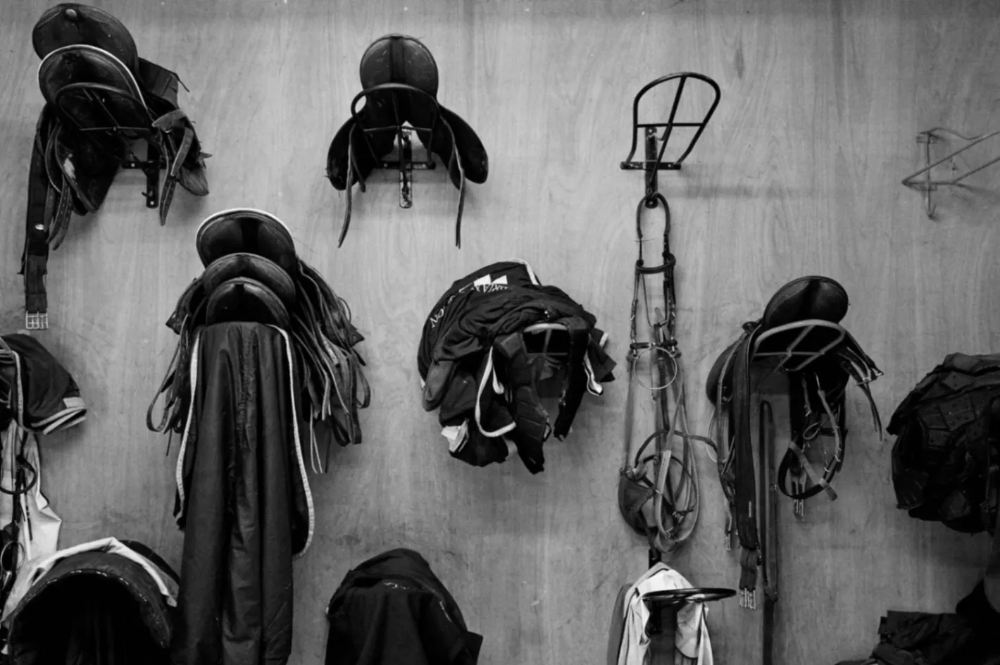 Saddles and racing tack hung ready in the stable tack room